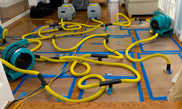 Professional Flood Damage Restoration technician working in Vinton, IA